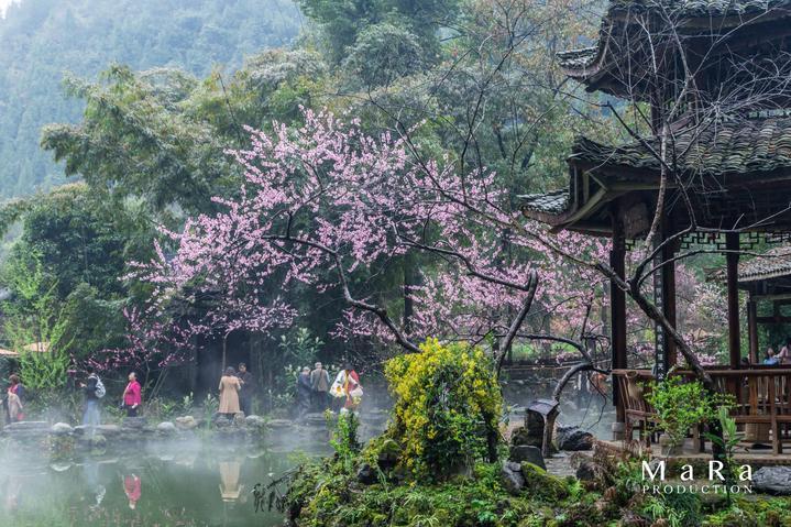 福建一“揭榜挂帅”科技重大专项项目通过验收